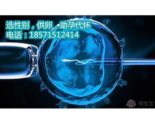 温州正规供卵试管费用,1广东省妇幼保健院知名试管婴儿医生
