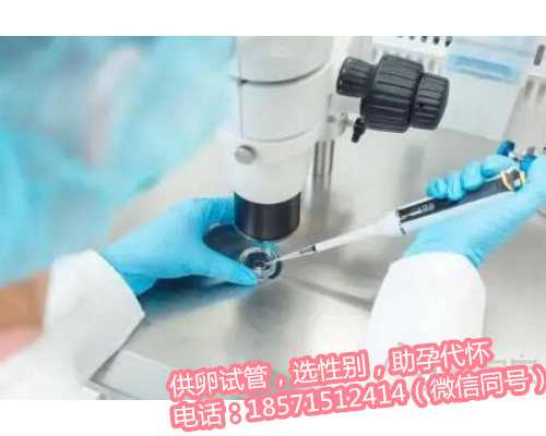 温州有偿捐卵网,1广东省妇幼保健院知名试管婴儿